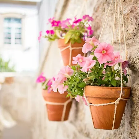 Hotel Casa Muralhas Covilhã