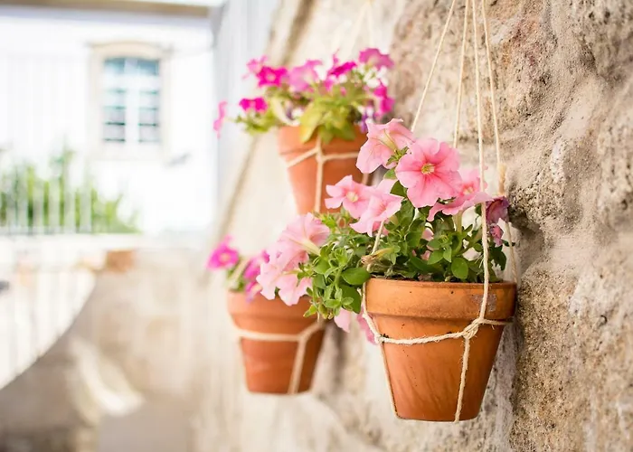 Hotel Casa Muralhas Covilhã